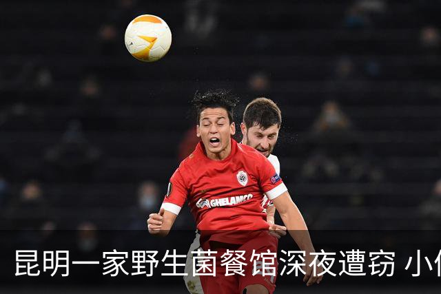 昆明一家野生菌餐馆深夜遭窃 小偷不偷钱只偷见手青 店主慌了：怕他吃中毒来找我麻烦