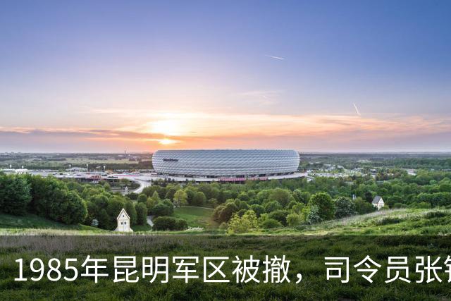 1985年昆明军区被撤，司令员张铚秀脸色大变，政委婉拒杨尚昆安排